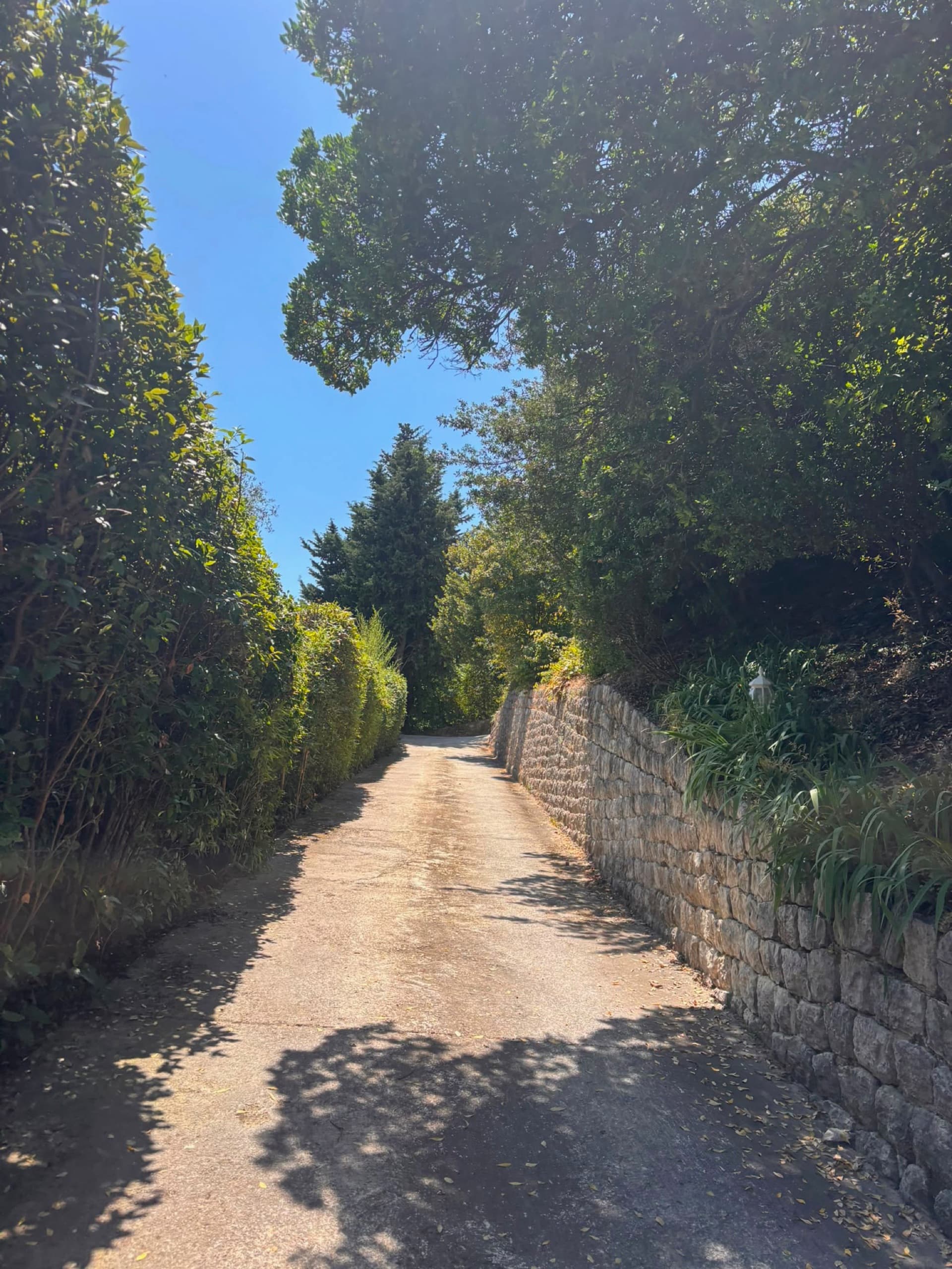 Allée d'accès privée bordée de verdure menant à la villa