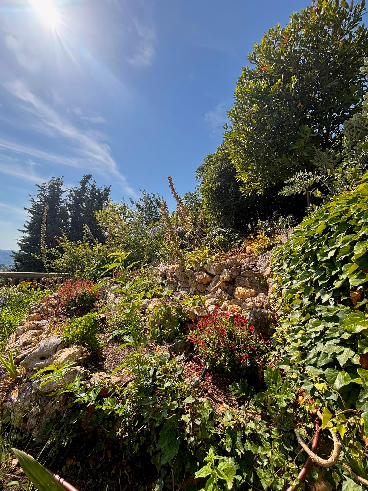 Jardin luxuriant de la villa et vue sur les collines de Grasse